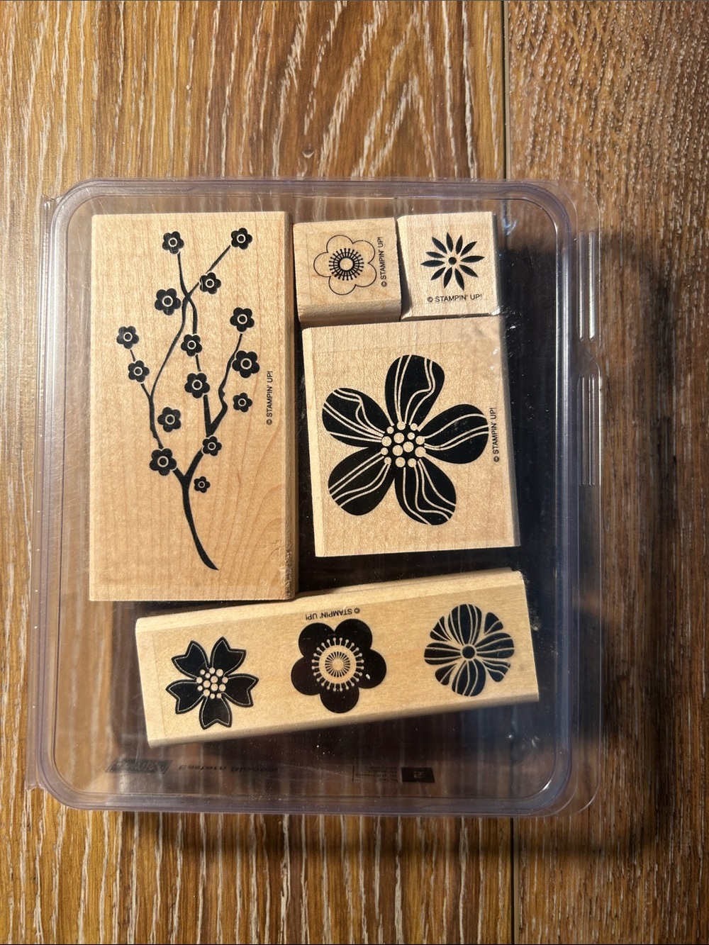 Stampin up! Stamp Set - Eastern Blooms 5 pc